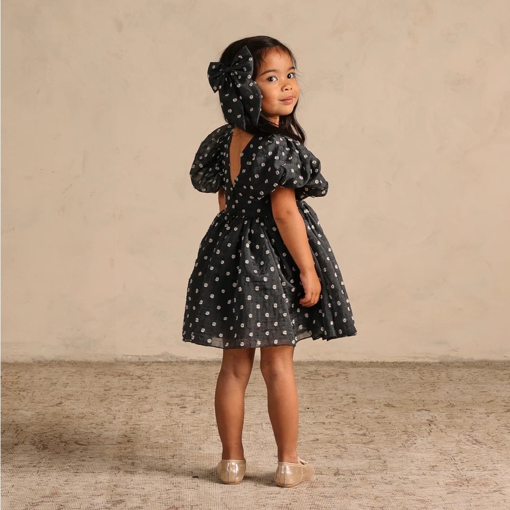 Noralee - Midnight Sofia Dress